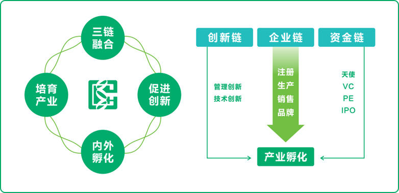達安式孵化